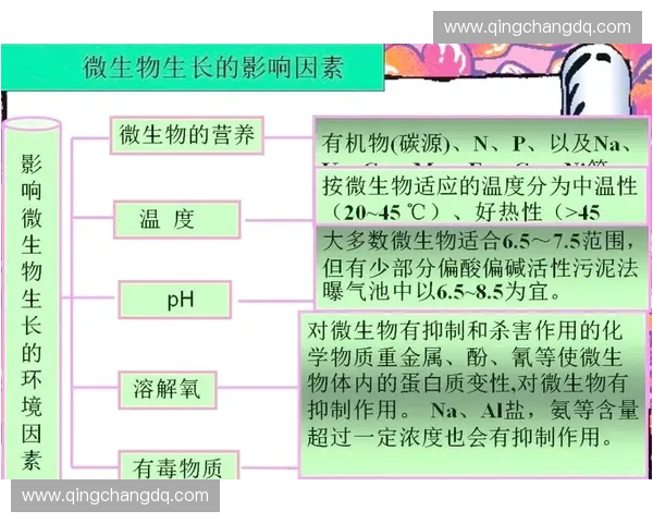 等张收缩原理在生物细胞体积调控与环境适应中的机制探究与应用